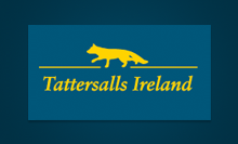 Visit Tattersalls Ireland Website