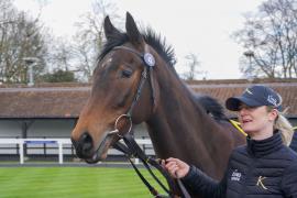 Lot  42 And Lois Day TMAR174Tattersalls