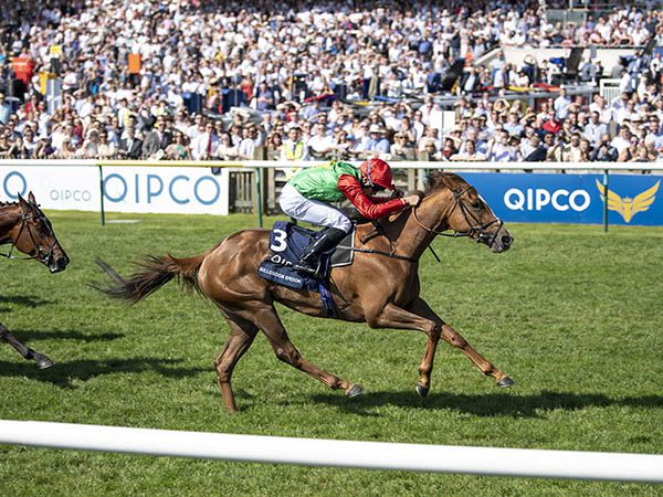 Billesdon Brook Winning the 1,000 Guineas. Her dam COPLOW looks one of the highlights of the December Sale. 