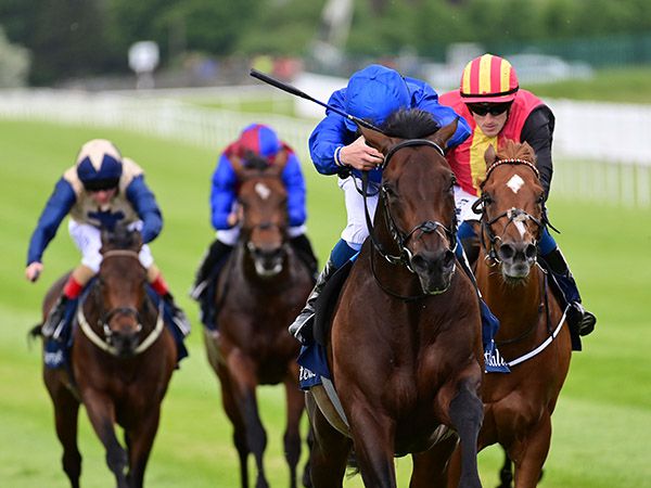 Last year’s Tattersalls Irish 2,000 Guineas winner Native Trail was bought by Godolphin for 210,000 guineas at the Tattersalls Craven Breeze Up Sale 