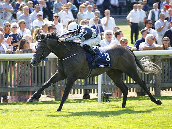 Alpha Centauri Winning the G1 Tattersalls Falmouth Stakes in 2018