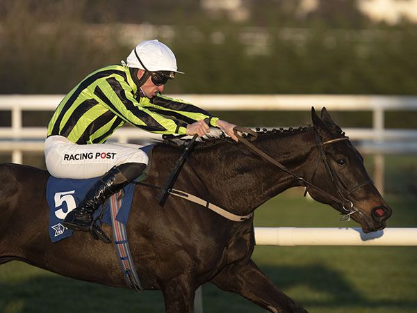 Dark Raven scored by seven and a half lengths at Leopardstown on debut for Willie Mullins