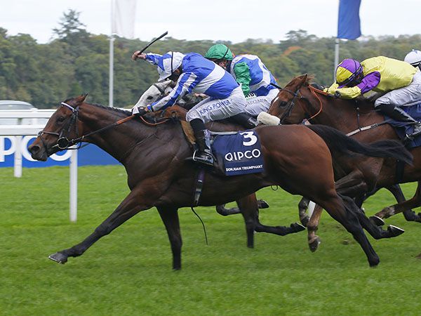 30,000 Gns Craven Breeze Up purchase DONJUAN TRIUMPHANT winning the Group 1 British Champions Sprint Stakes
