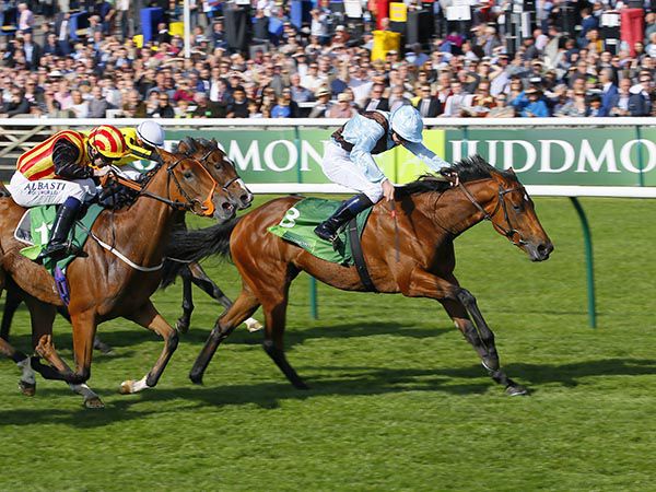 Group 1 Cheveley Park Stakes winning Fairyland whose dam was purchased at the Tattersalls July Sale for 32,000 guineas 
