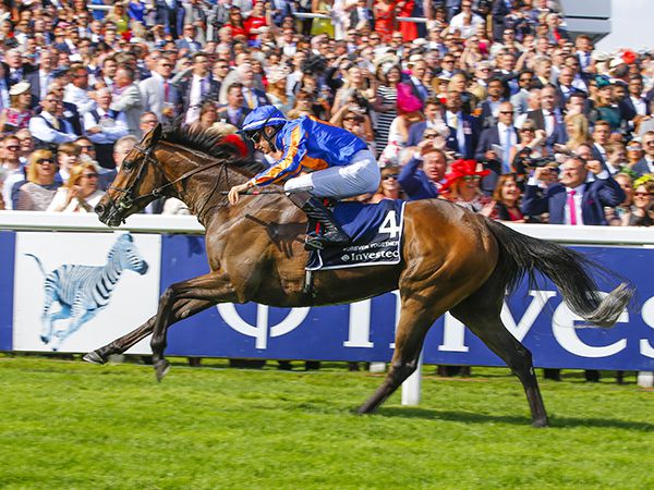 The dam of 2018 Oaks winner Forever Together was purchased at the Tattersalls February Sale for 20,000 guineas. 