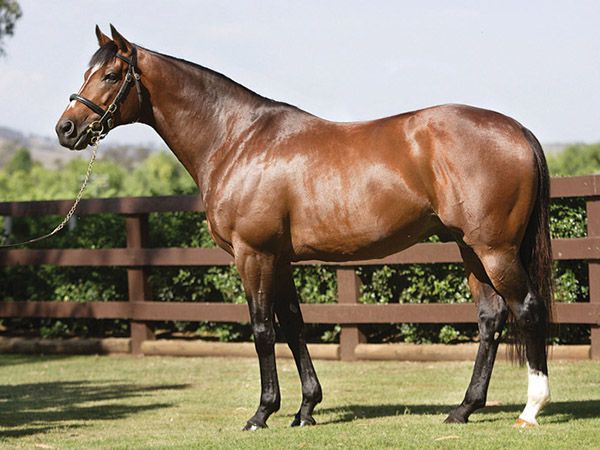 Galileo has 21 Yearlings Catalogued  