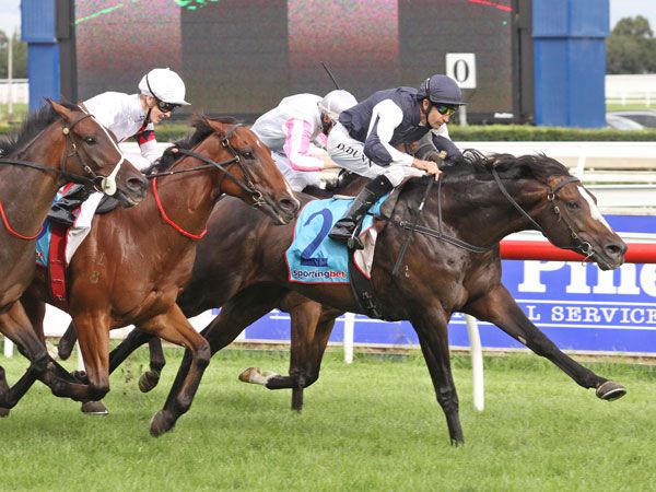 Jet Away winning the Group 3 Easter Cup
