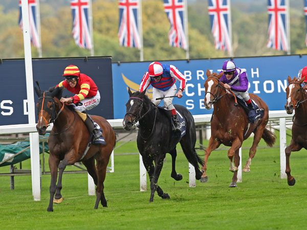 Seal Of Approval Beats Belle De Crecy at Ascot