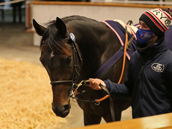 Record-breaking sale topper English King