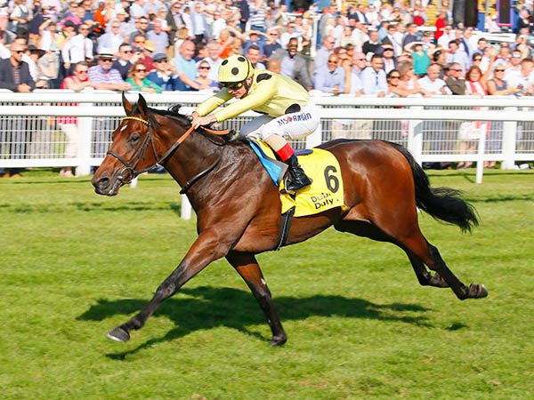 Pierre Lapin Winning the G2 Mill Reef Stakes