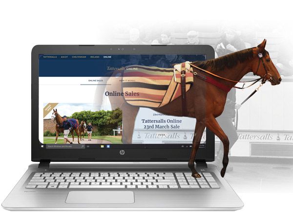 The Tattersalls Online 23rd March Sale will be the third sale conducted on the Tattersalls Online platform. 