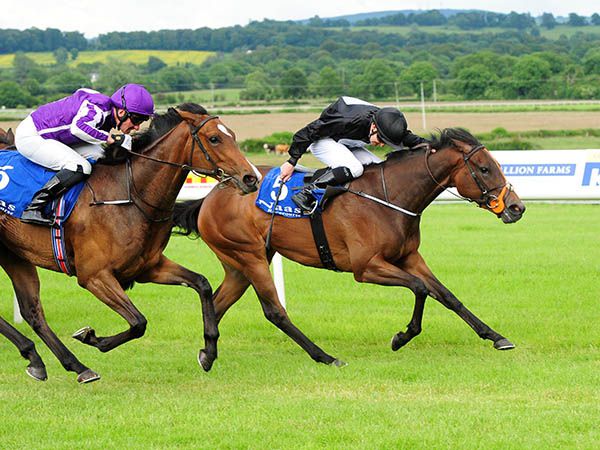 Drummed Bay Scores on Debut at Naas