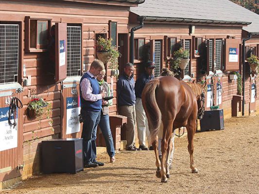 William Muir Inspecting Yearlings at Tattersalls