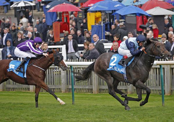 Johann Strauss chasing home Kingston Hill in the G1 Racing Post Trophy