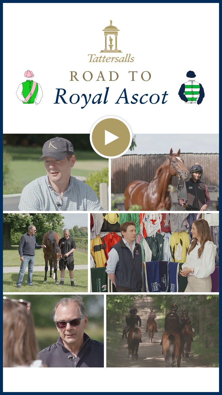 Racing Fixtures The leading resource on British horse racing, with