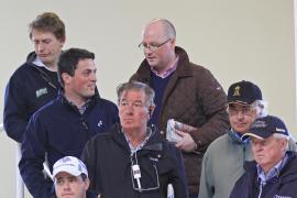 Coolmore T O13030 Tattersalls