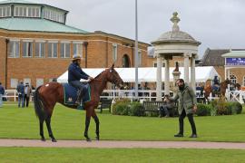 G V Viewing H I T0319 Tattersalls
