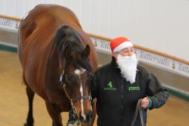 Father Christmas T D M275 Tattersalls