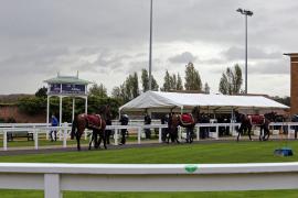 G V Marquee H I T0206 Tattersalls