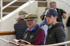 Marcus And George Tregoning TBK3 1392Tattersalls