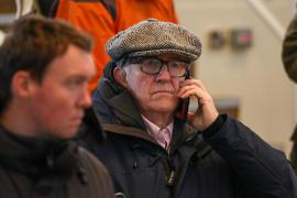 Peter Doyle TDY016Tattersalls