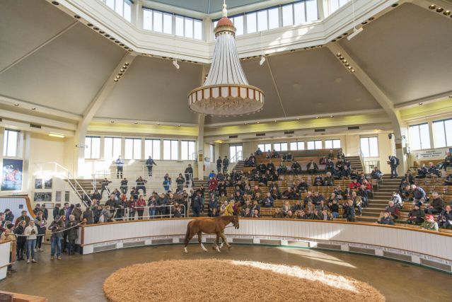 Stradivarius returns for a second year to form part of a quality line up of 10 stallions confirmed for this year’s TBA Flat Stallion Parade 