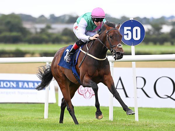 Apricot Twist made an impressive seven and a half length winning debut at Naas
