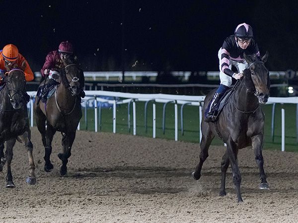 Exciting three-year-old Billy Webster received a Timeform rating of 97 for a dominant victory at Southwell on his most recent start