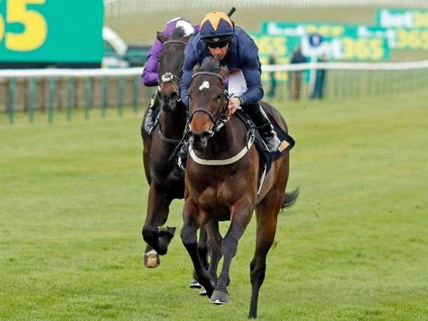 Blue Storm winning on debut at Newmarket's Rowley Mile 
