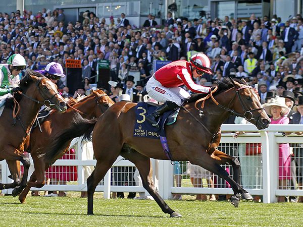 12,000 guineas Tattersalls Somerville Yearling Sale purchase Bradsell claimed the Group 2 Coventry Stakes at Royal Ascot 