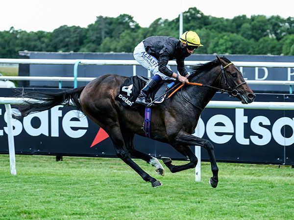 English King Winning the Listed Lingfield Derby Trial 