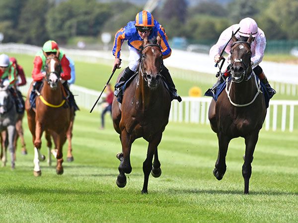 Gulf of Mexico Winning his maiden at Killarney and earning €31,630 for connections. 