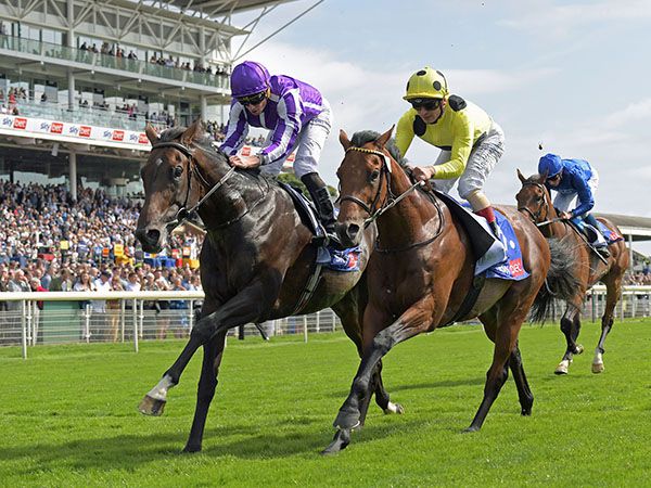 Top class colt High Definition has been placed in the Group 1 Tattersalls Gold Cup and the Group 1 Coronation Cup this season and is rated 117 