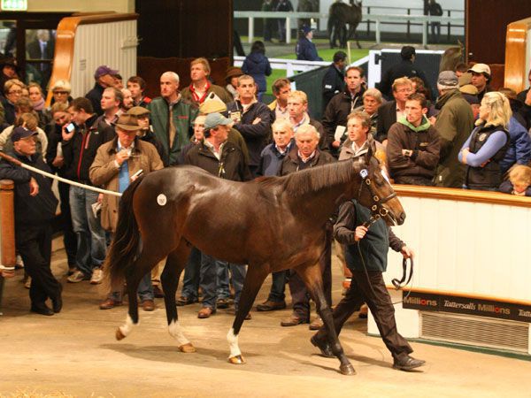 Galileo colt out of Funsie purchased for 2.5m gns in 2012.  