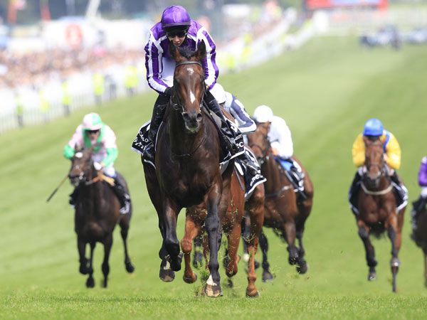 Camelot winning The Derby