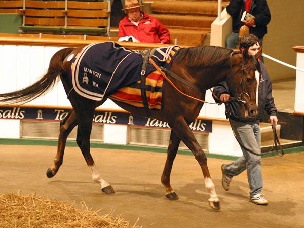 Donna Blini being sold at the 2006 Tattersalls December Sale 