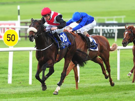 Grandee winning at The Curragh 