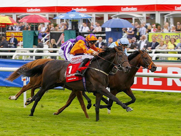 G1 St Leger winner Harbour Law's dam was purchased for 40,000 gns at last year's sale.  
