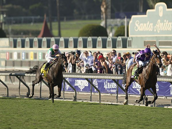 Highland Reel streets ahead in the G1 Breeders' Cup Turf (Copyright: Edward Whitaker) 