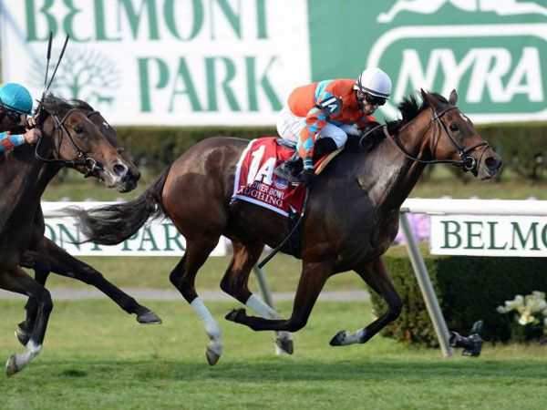 Laughing Winning the G1 Flower Bowl. (Picture courtesy of New York Racing Association) 