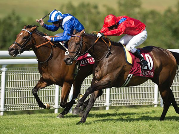 Muthmir winning the Group 2 King George Stakes 