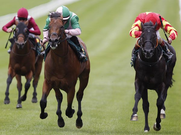 Sudirman (Centre) holds off Big Time to win the G1 Phoenix Stakes 