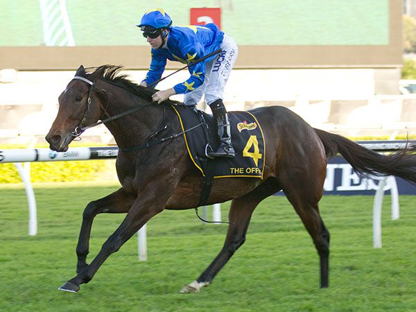 The Offer is clear of his rivals in the G1 Sydney Cup 