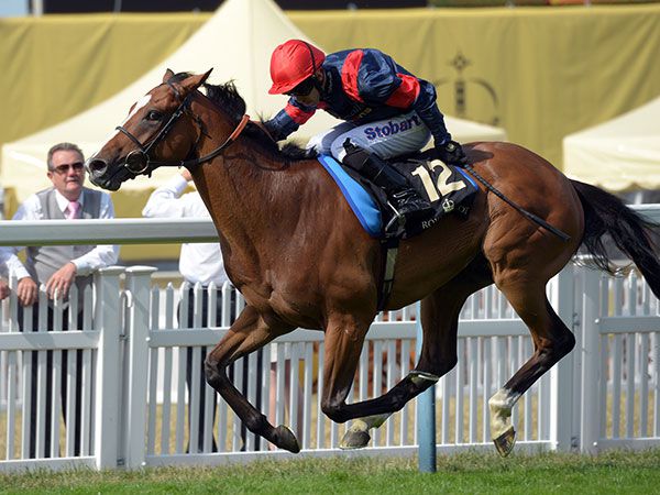 Guineas Breeze Up purchase Trip To Paris winning the G1 Gold Cup 