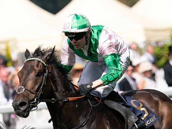 Khaadem won this year's Group 1 Queen Elizabeth II Jubilee Stakes at Royal Ascot 