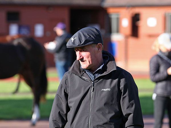 Kevin Ryan at Book 1 of the Tattersalls October Yearling Sale