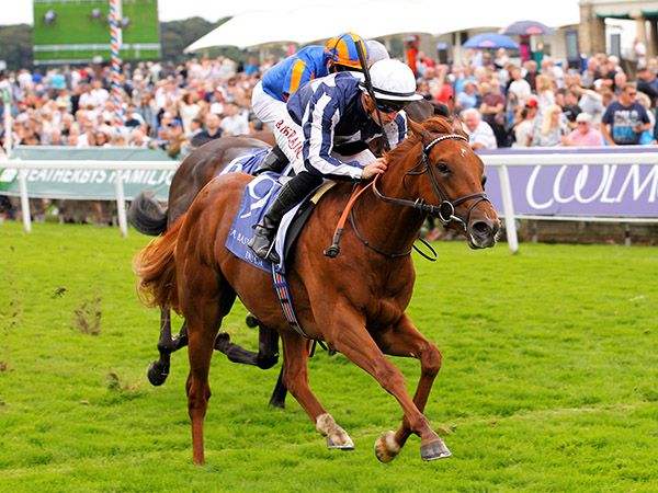 Gimcrack Stakes winner Lake Forest Heads the Tattersalls Autumn Horses in Training Catalogue 