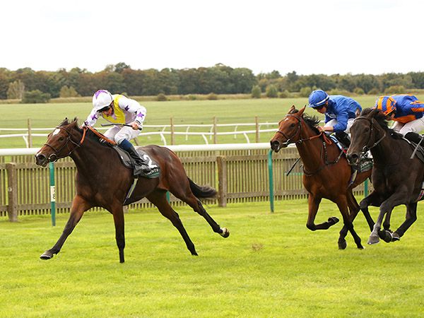 Lezoo winning the Group 1 Cheveley Park Stakes from subsequent Breeders’ Cup winner MEDITATE and 1000 Guineas winner MAWJ 