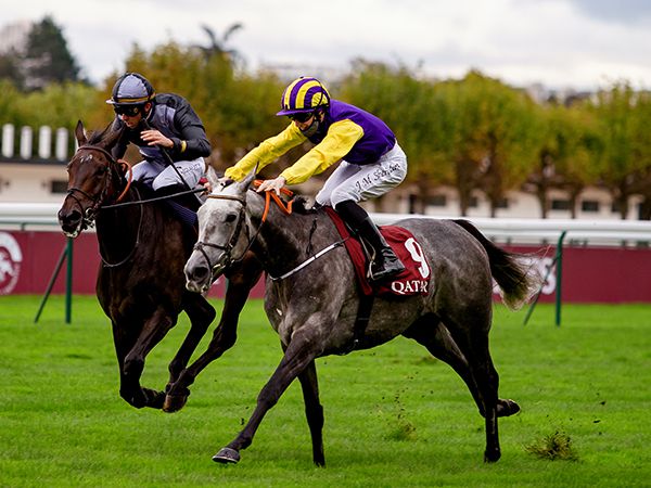 Princess Zoe's remarkable five race winning sequence culminated in the Group 1 Prix du Cadran at ParisLongchamp