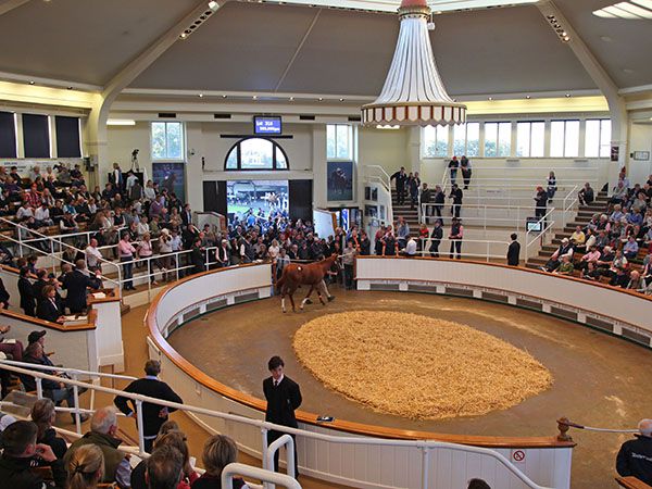 The Tattersalls sales ring saw sustained demand from start to finish at all levels of the market 
